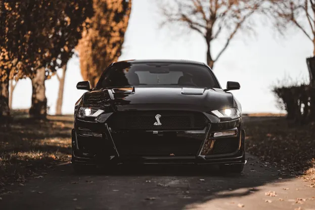 Ripper Kasino Apl Android/iOS